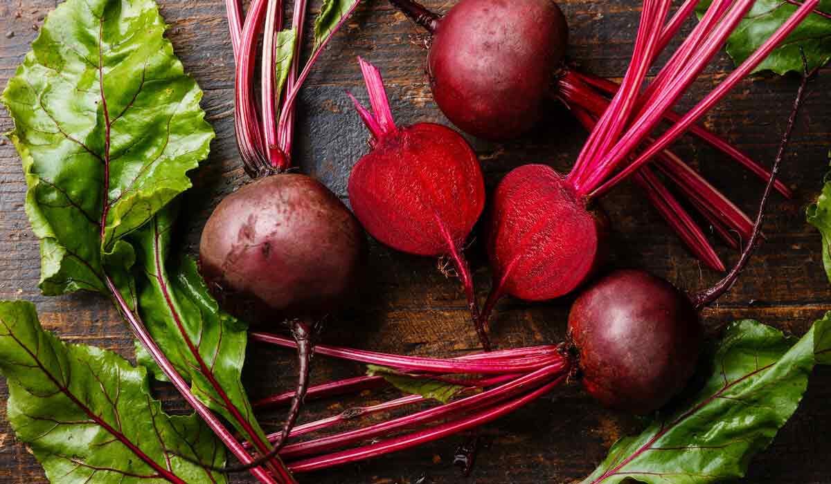 فوائد الشمندر