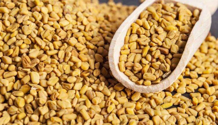 فوائد الحلبة