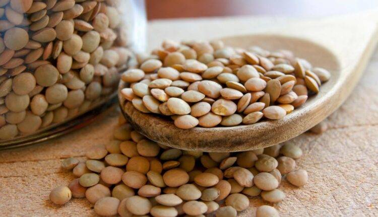 فوائد العدس