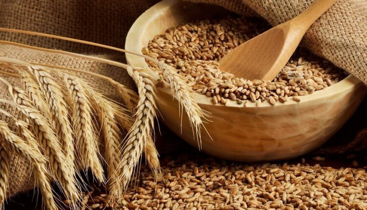 حساسية القمح