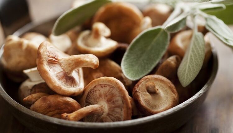 طريقة تفريز المشروم