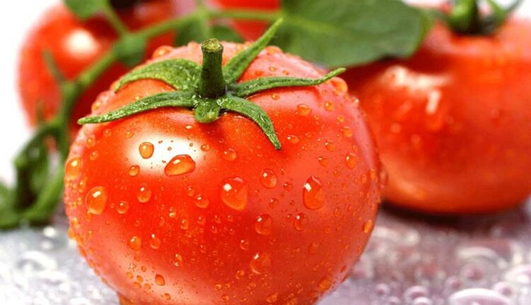 هل الطماطم مسموح في الكيتو